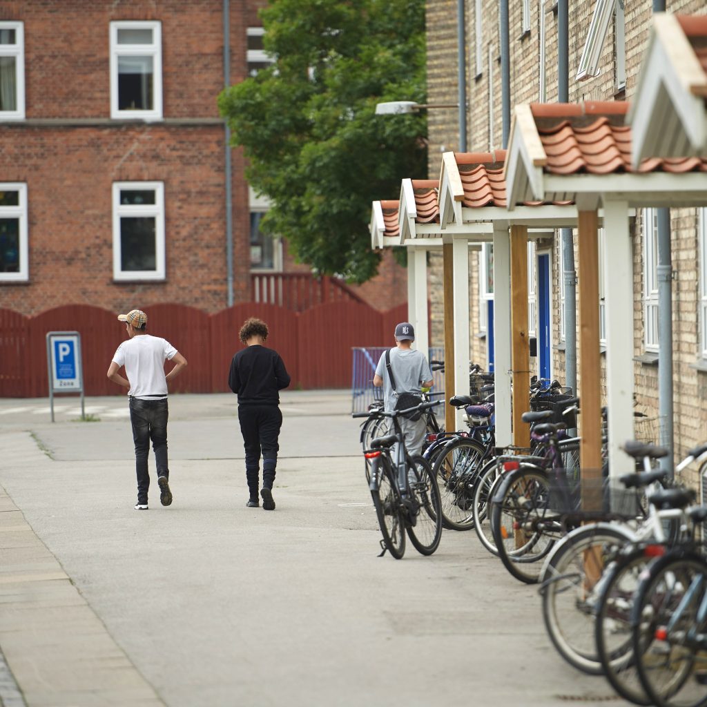 Abildgaarden_maj_2024_DSC1225-aspect-ratio-872-872