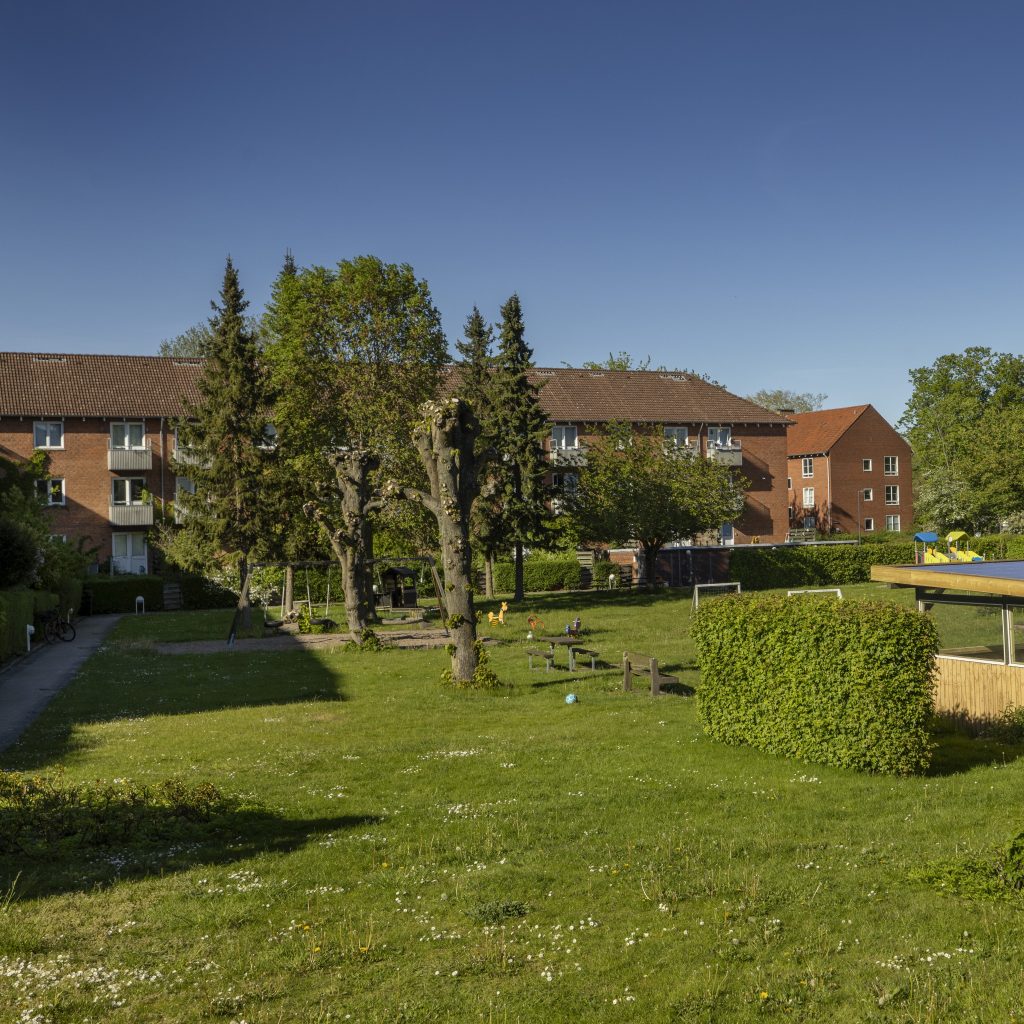 SAB-Lolikhuse-Maj-2024-1-1-aspect-ratio-872-872