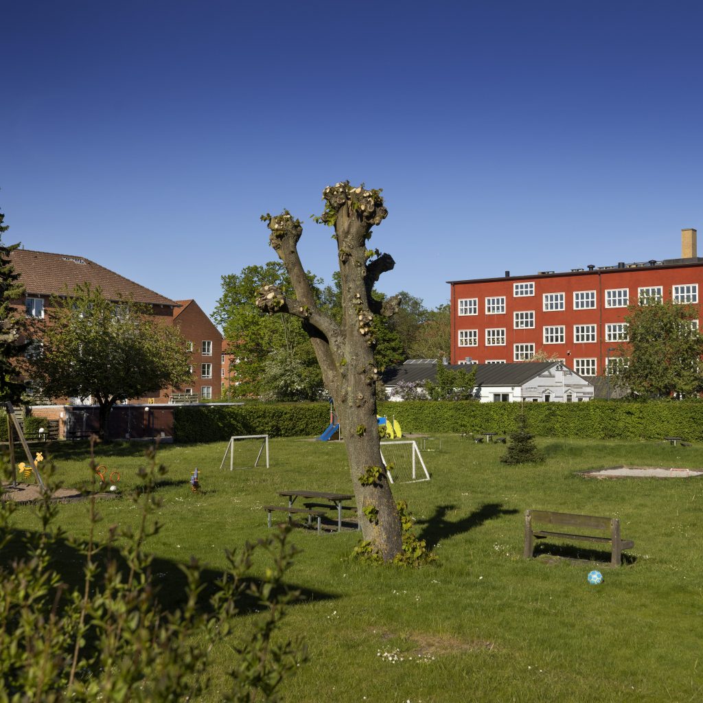 SAB-Lolikhuse-Maj-2024-3-1-aspect-ratio-872-872