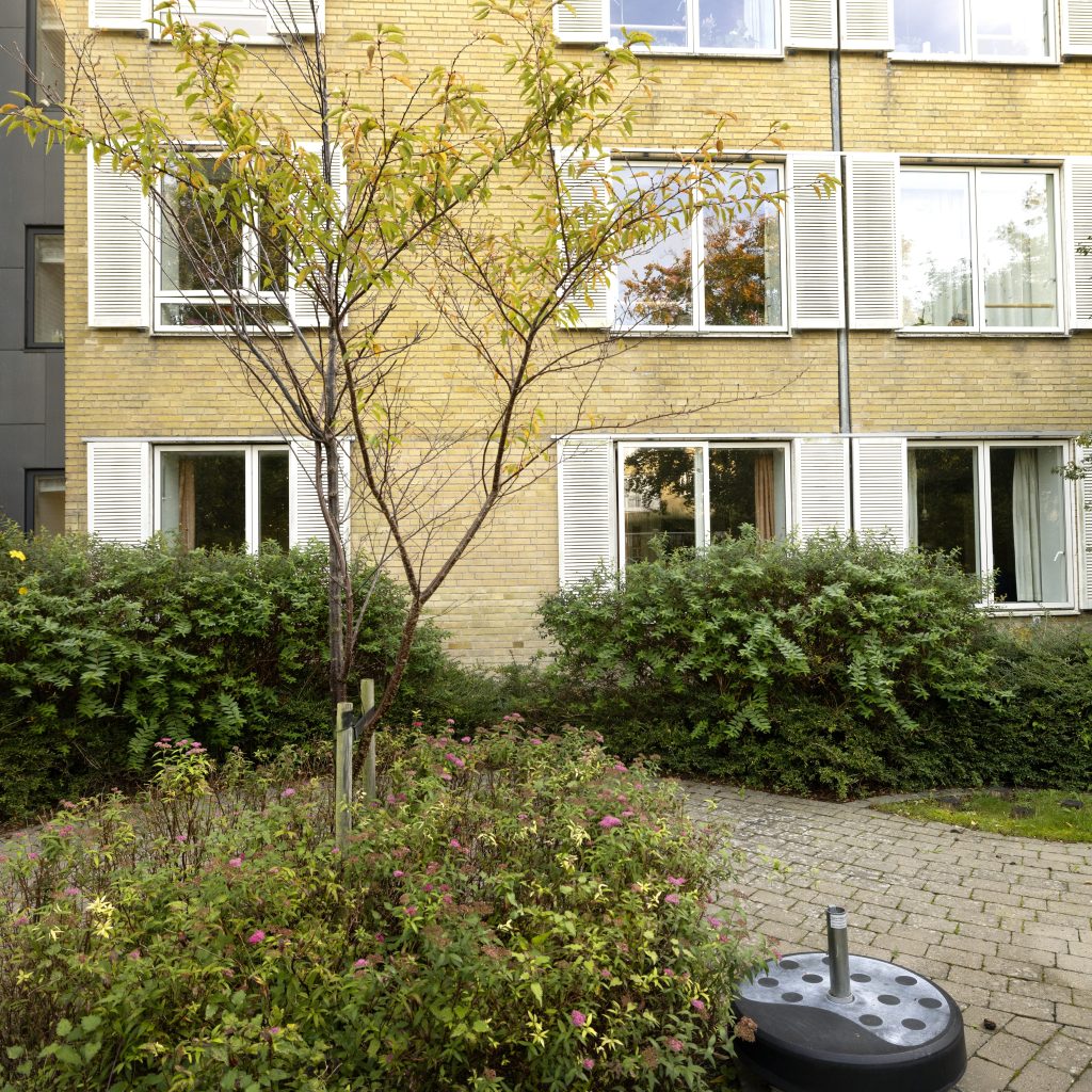 Tingbjerghjemmet-Oktober-2023-7-aspect-ratio-872-872