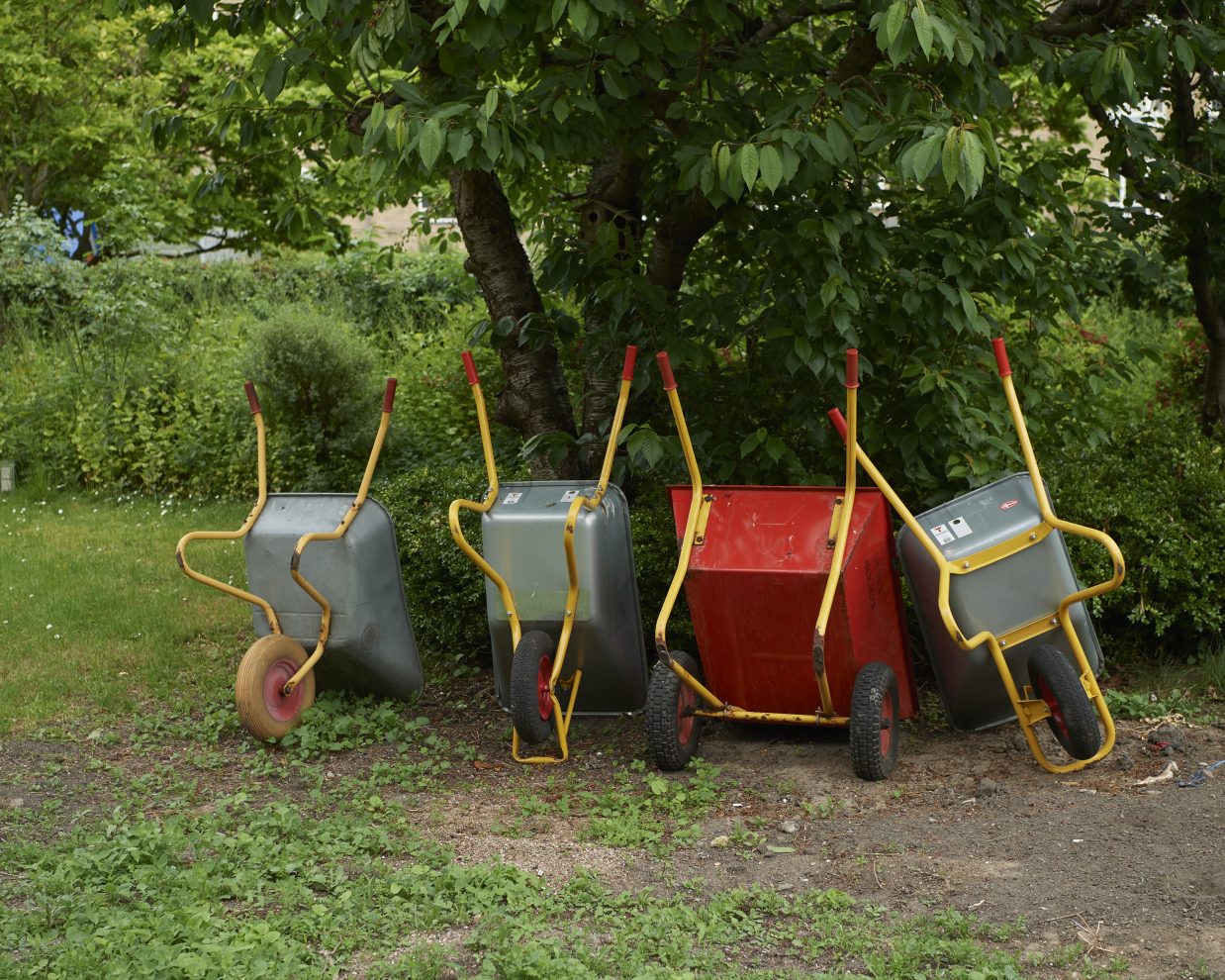 Abildgaarden_maj_2024_DSC1096-aspect-ratio-1238-990