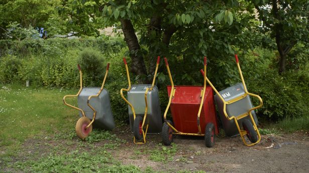 Abildgaarden_maj_2024_DSC1096-aspect-ratio-615-345