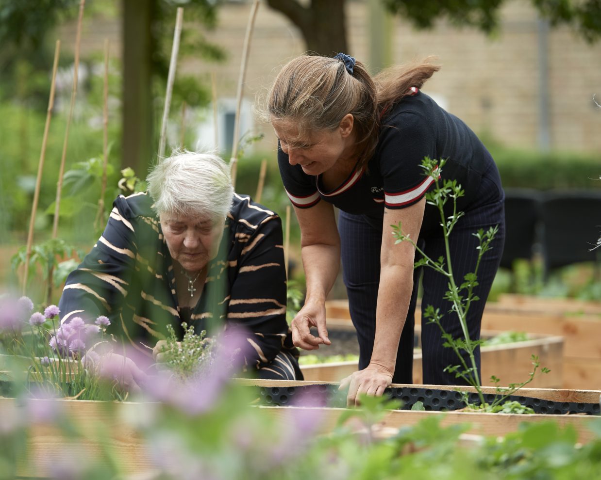 Abildgaarden_maj_2024_DSC0847-aspect-ratio-1238-990