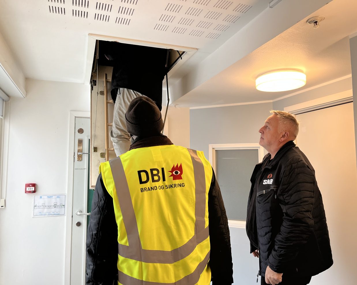 IMG_1134-aspect-ratio-1238-990