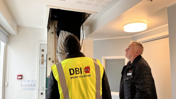 IMG_1134-aspect-ratio-615-345